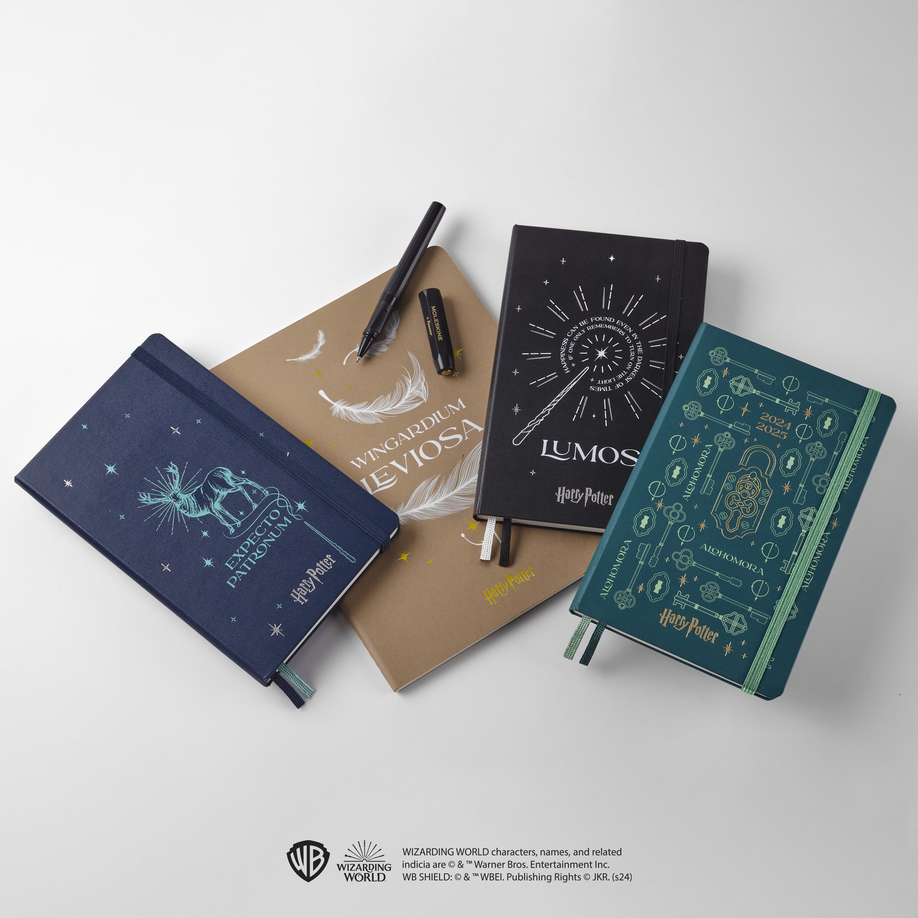 Limited Edition Notebooks | Moleskine